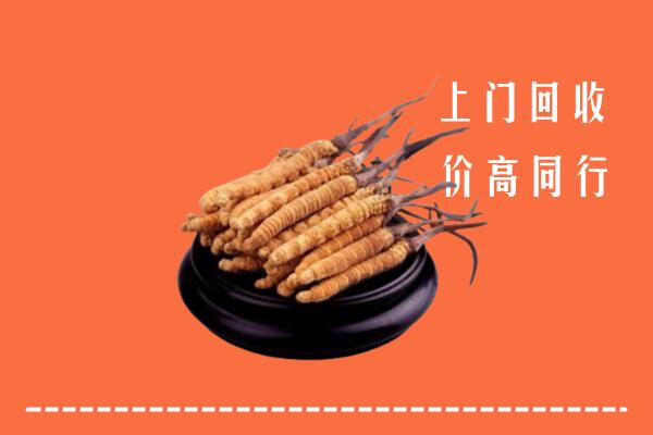 高价求购：河池市回收散虫草
