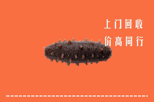 高价求购：河池市回收海参