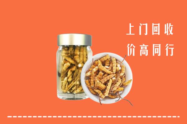 河池市回收冬虫夏草