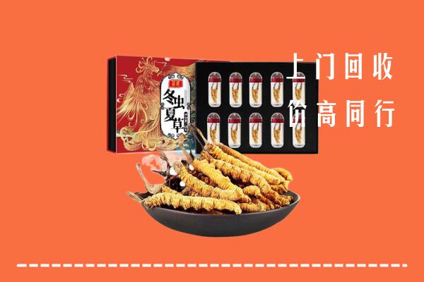 河池市回收虫草